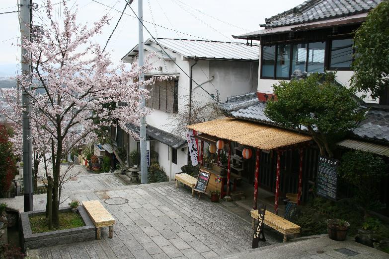 cherry blossoms at shop Nyabinghi 